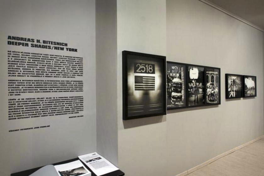 Bitesnich-Exhibition-Deeper-Shades-New-York-Prague-2012-12648