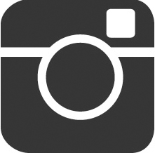 Bitesnich_instagram_logo