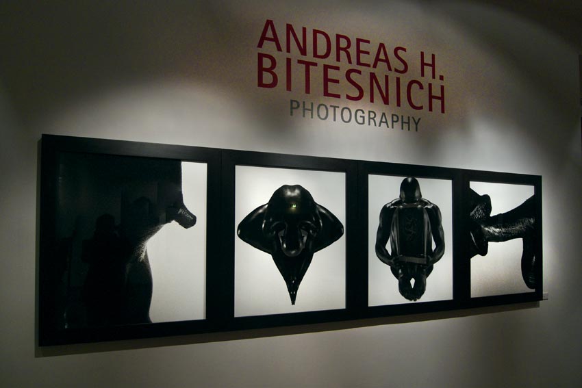 ANDREAS H. BITESNICH PHOTOGRAPHY