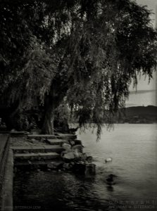 At Lake Zurich 1998