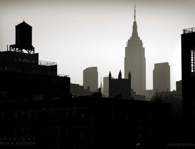 Bitesnich_New_York