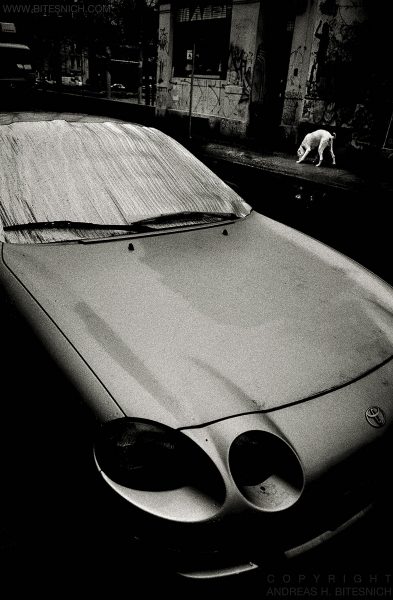 Dog and car, Berlin 2015