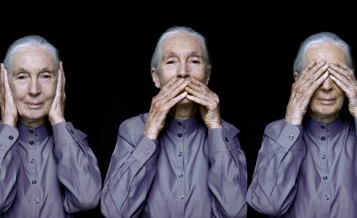 Jane Goodall, Vienna 2011
