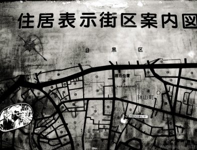 Map with self portrait, Tokyo, Japan 2012