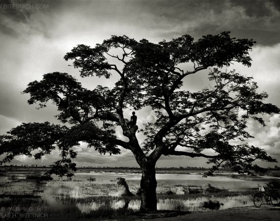 Smiling boy on tree, Cambodia 1999
