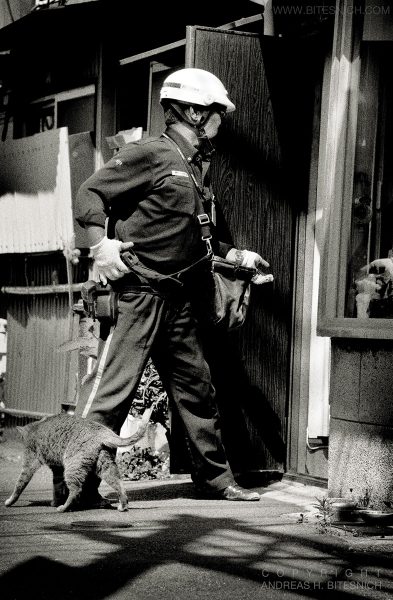 Street situation, Tokyo, Japan 2012