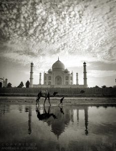 Taj Mahal, Agra, India 2006