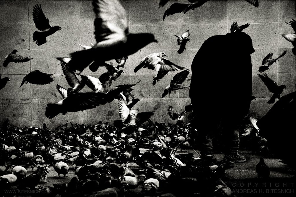 The Birds, Paris 2013