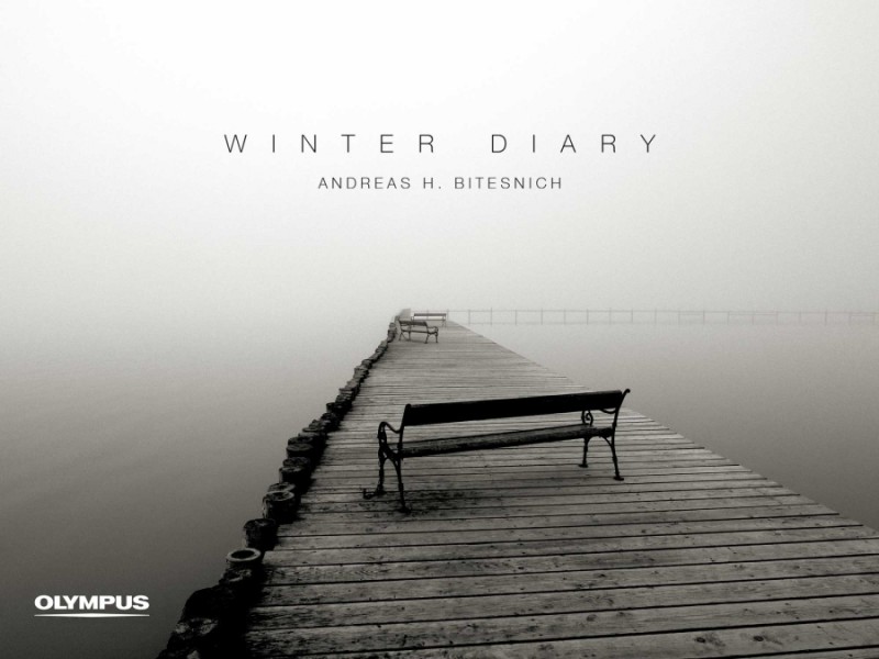 WINTER DIARY: EXHIBITION TOUR